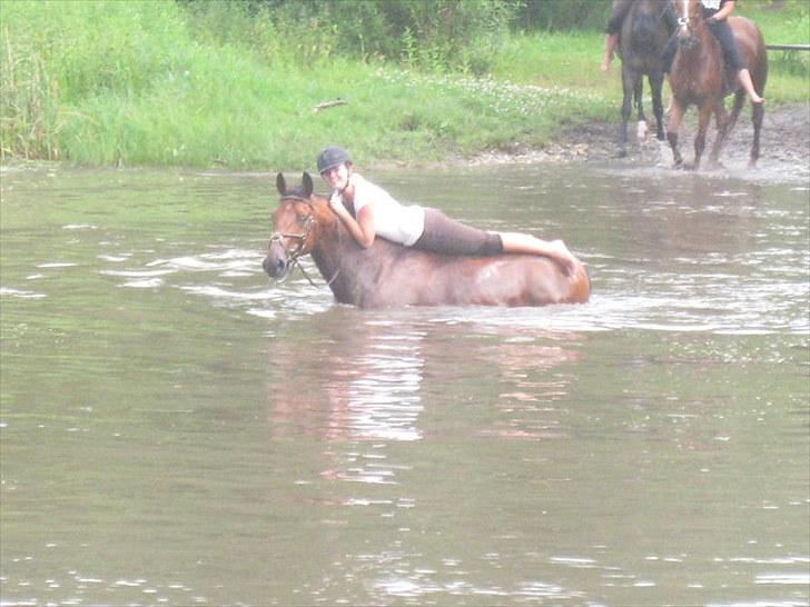 Polsk Varmblod Maxis - Maxis og Nanna i vandet :) billede 12