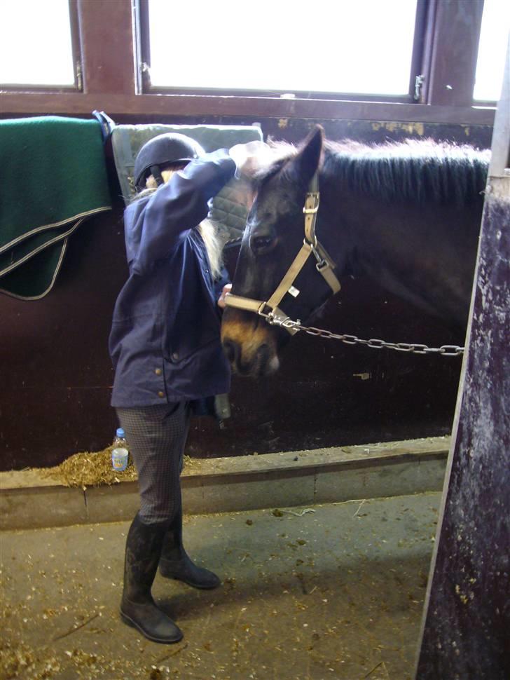 Connemara Illias R.I.P :'( billede 5