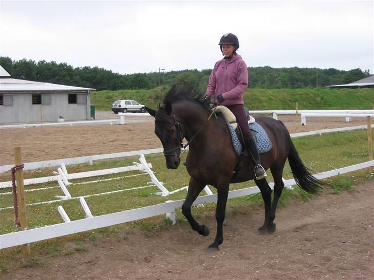 Oldenborg Pikeur - Bare en almidelig dag billede 4