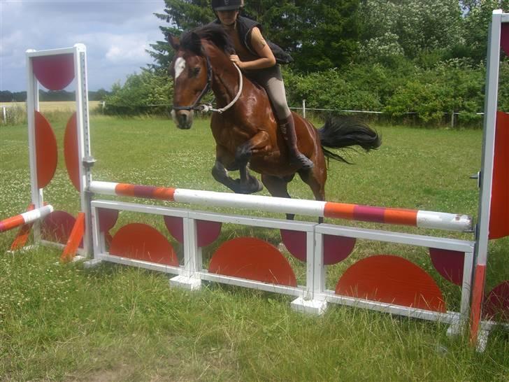 Anden særlig race | Cantos Caballero - 17# WEE! Springning på Bare back! xD Det kan vi Ti-hvert-ti-fald finde ud af :P Sommeren 08 HA Foto: Emilie2 billede 17