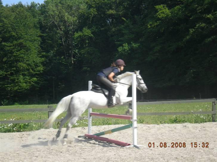 New Forest Amber - solgt :( - 80 cm (: billede 15