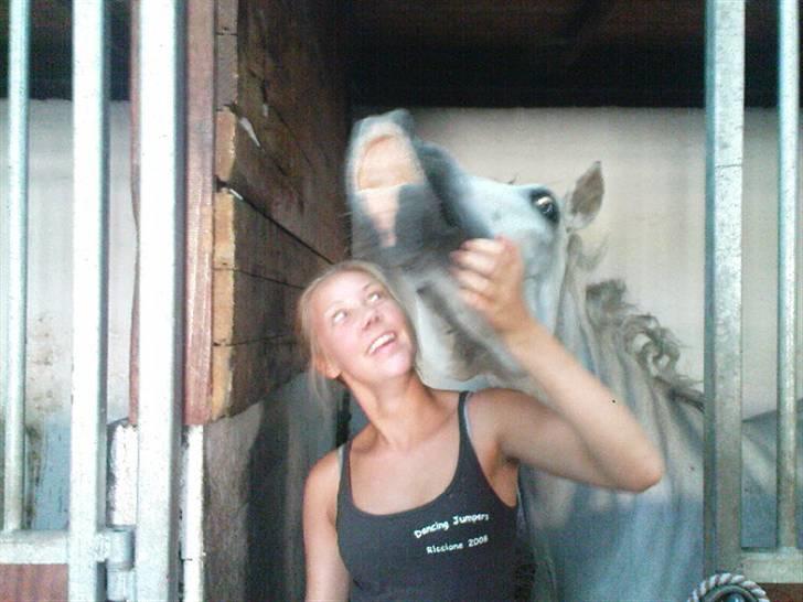 New Forest Amber - solgt :( - amber med krøller efter stævner (: "ej, jeg vil også smile på billedet" haha min - du min for evigt <33 billede 16