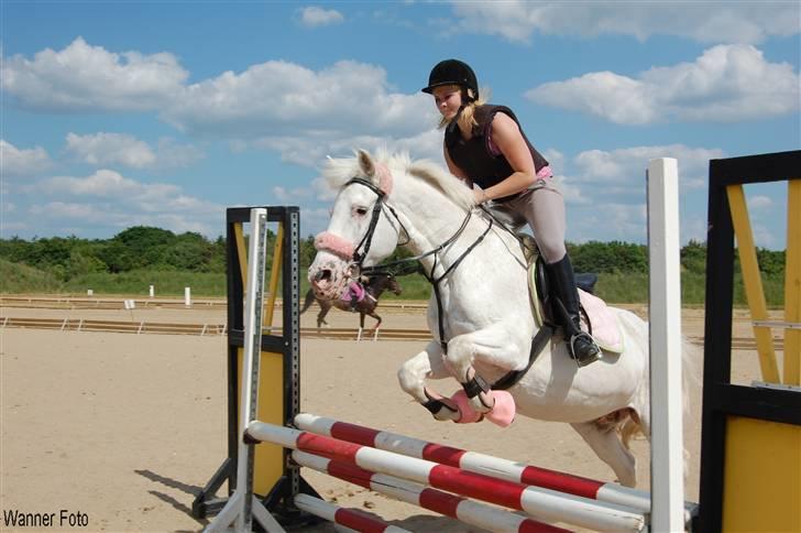 Anden særlig race Bonnie Best<3 | SOLGT - Springundervisning :D <3 {mester fotografen WANNER ! :D} billede 17