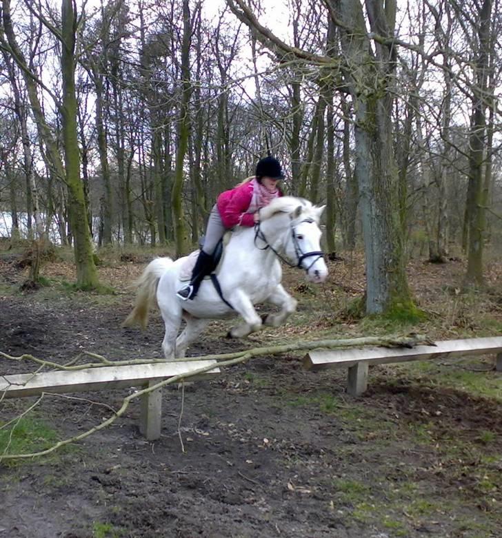 Anden særlig race Bonnie Best<3 | SOLGT - Natur spring, d. 16/3 :D {mester fotografen FIE ! :D} billede 19