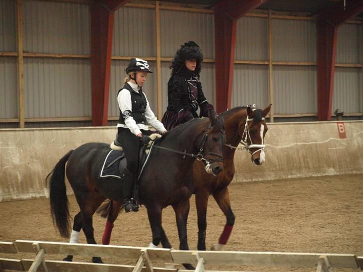 Anden særlig race Cirkeline  Halv A-pony - Solgt - Par de deux. Sally/Malou & Michelle/Cirkeline. 1. november 2009 billede 13