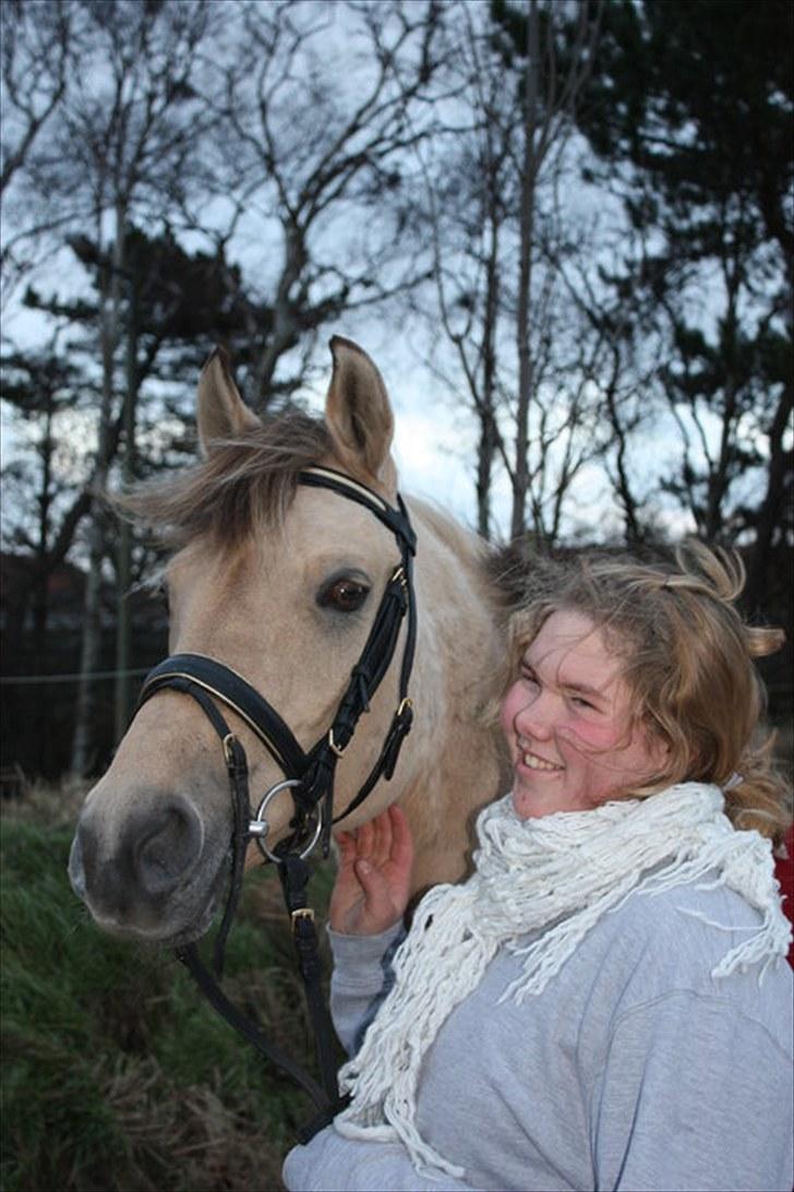 Anden særlig race Yellow lady * Aflivet * - Yellow Lady & Cilla <3 billede 1