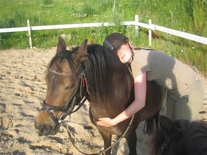 Welsh Pony (sec B) Kastania - Vi slapper af en sommeraften 2009 :) <3 billede 4