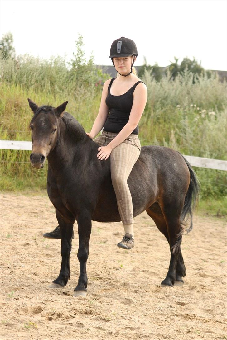 Welsh Pony (sec B) Kastania - Kastania og jeg! Bidløse - sommeren 2010 ;) <3 billede 7