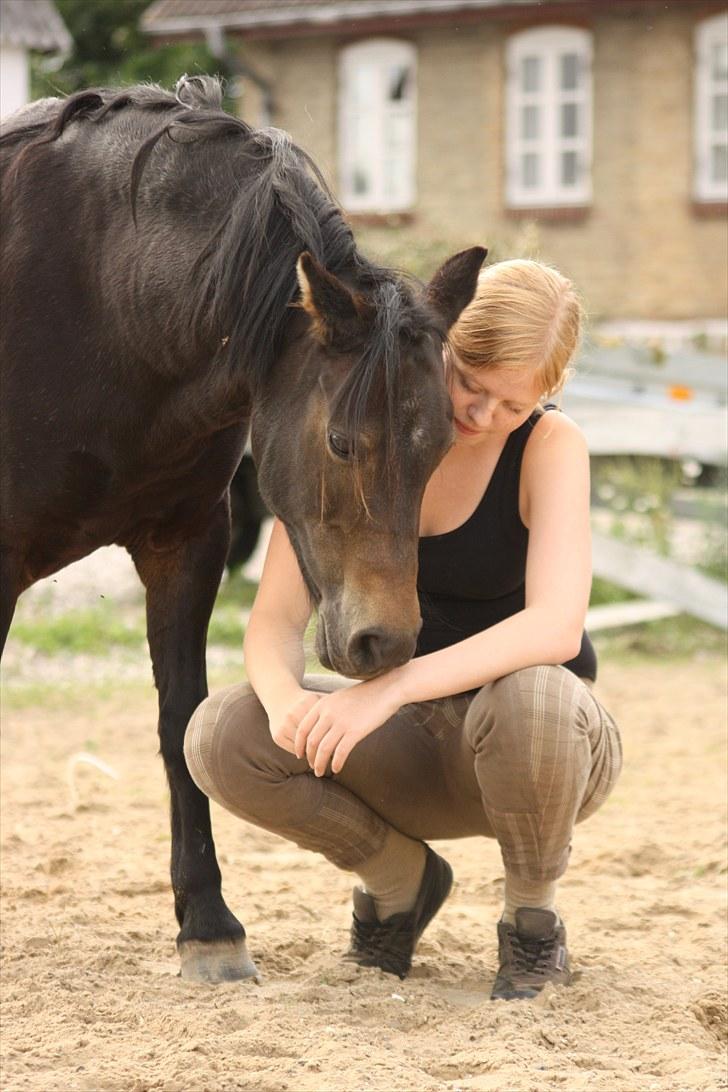 Welsh Pony (sec B) Kastania - Du har en helt særlig plads i mit hjerte :´) <3 Sommer 2010 billede 12