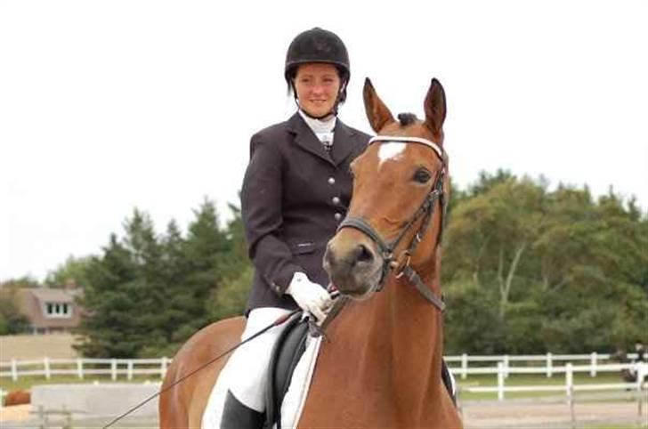 Trakehner Anastasia - Anna til stævne billede 1