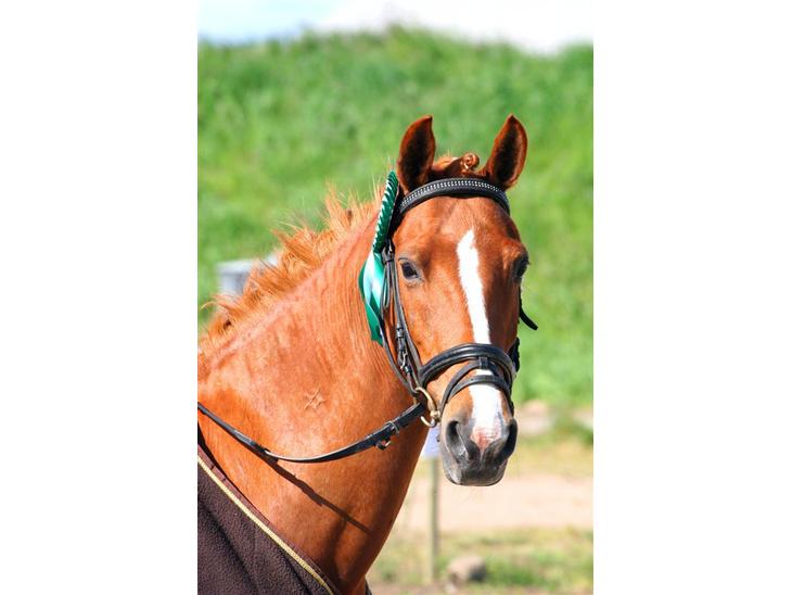 {{currentPhoto.altText}} billede {{currentPhoto.number}}