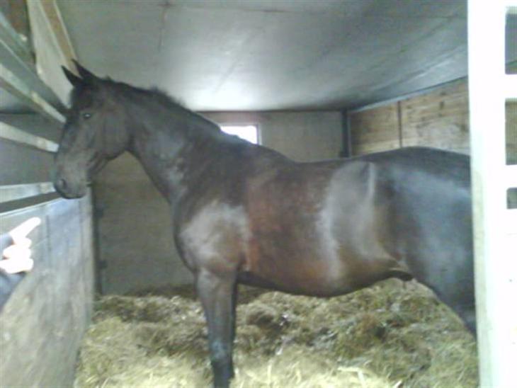 {{currentPhoto.altText}} billede {{currentPhoto.number}}