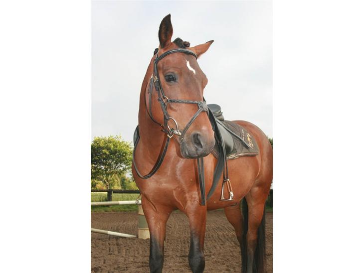 {{currentPhoto.altText}} billede {{currentPhoto.number}}