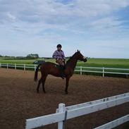 Sportsaraber (A) Romeo