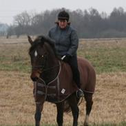 Oldenborg Stendalens Maro - Charmøren<3 