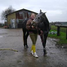 Anden særlig race Miss Flicka