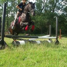 Frieser Helga H. *SOLGT