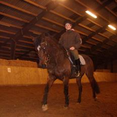 Anden særlig race Medoris