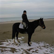 Anden særlig race Hottentott<3