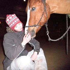 Welsh Pony (sec B) Ksarinor "Musse-tussen!"