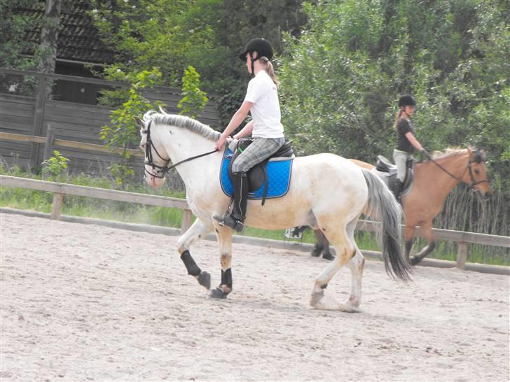 Knabstrupper Little one *gammel part*  - en lørdag på little one :D billede 17