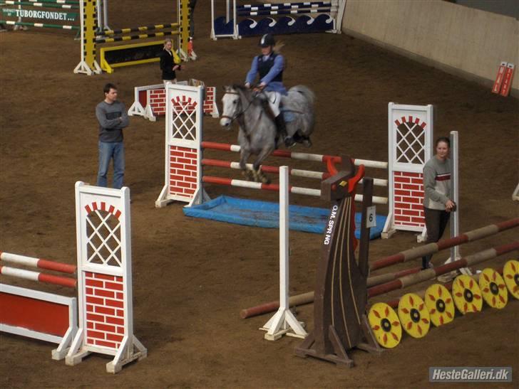 Irsk Sportspony Dooneens Robin Hood-R.I.P - første La & første distriktstævne på ham;) toede ikke lige helt på at han hoppede;D billede 1