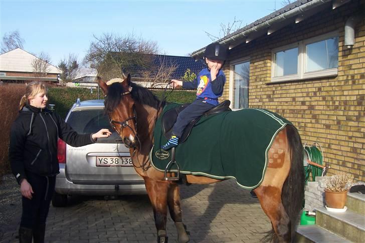 Connemara Enghøjs Sandy Touch-SAVNET - min lillebror ridder på santos billede 16