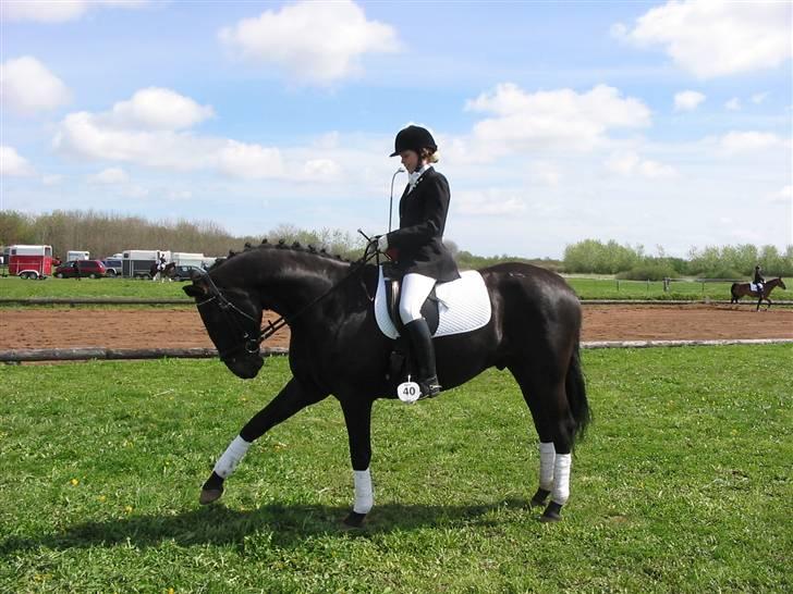 Oldenborg Pikeur - Til stævne i Bolderslev billede 5