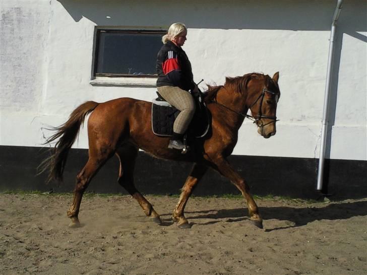 Anden særlig race Freja<33 - Min baby! billede 6