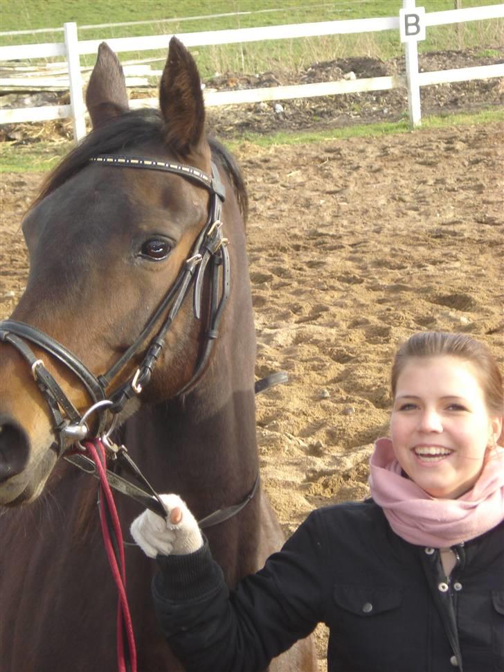 Dansk Varmblod Bolingi - Bolingi med hendes part Camilla.. billede 2