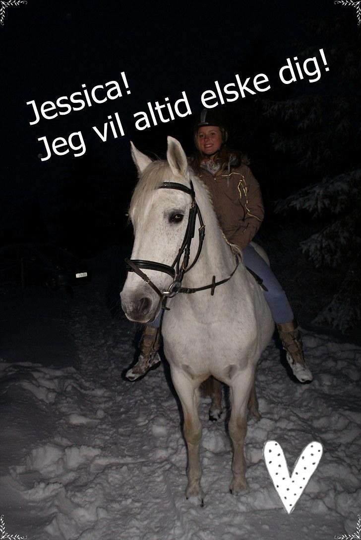 DSP JESSICA - Jeg kan ikke beskrive hvor meget jeg savner dig -sidste ridetur nogensinde!/;. billede 13