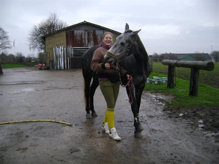 Anden særlig race Miss Flicka - velkommen til min profil (tikke prinnsesse ) foto louise b billede 1