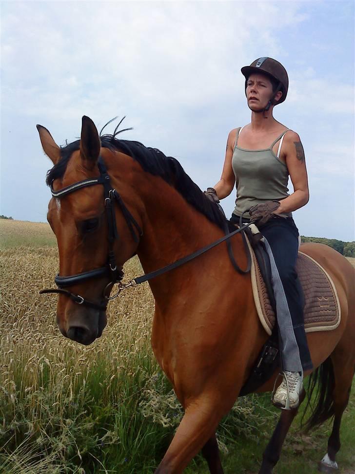 Dansk Varmblod Ranatha Girl - 2/8-09 billede 11