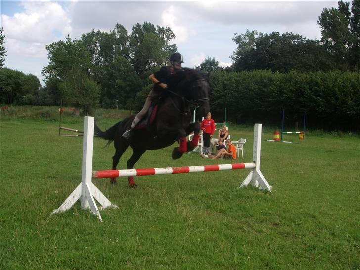 Frieser Helga H. *SOLGT - Spring, broløkke. Sommeren 07. billede 2