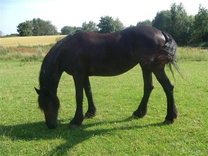 Frieser Helga H. *SOLGT billede 10