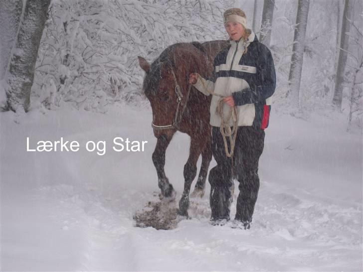Traver Surprise Star  - Sne :D billede 15