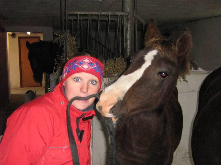 New Forest Fjordglimts Sunstar <3 - Christina og Sunstar - lige skøre :D billede 7