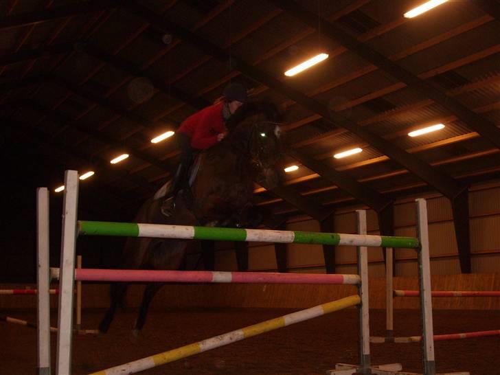 Anden særlig race Medoris - Medoris & Maja. 125 cm høj, 90 cm bred. billede 2