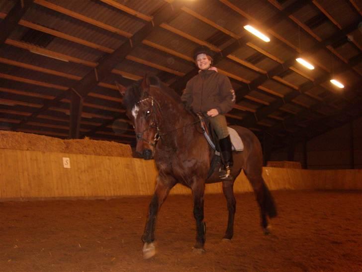 Anden særlig race Medoris - Medoris & Signe. Springpony, som også kan lidt dressur. billede 3