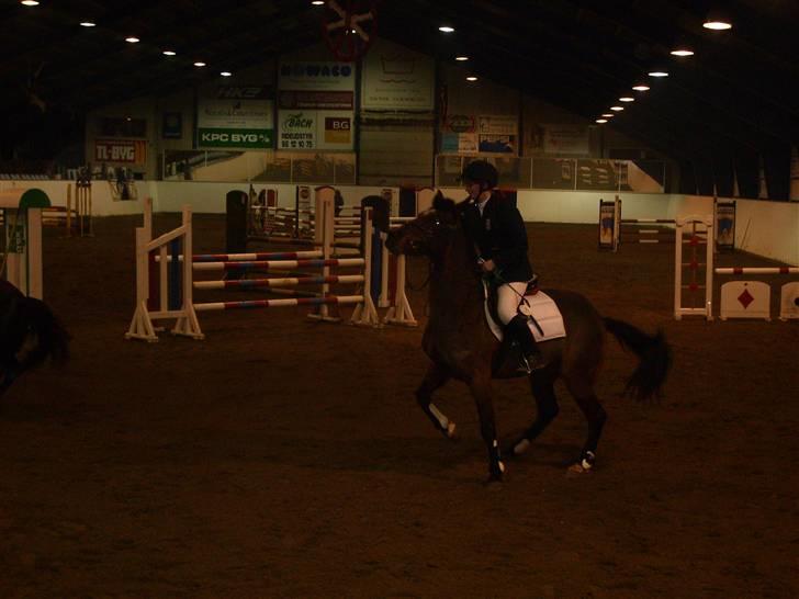 Anden særlig race Medoris - Medoris & Maja. Præmieoverrækkelse. billede 4