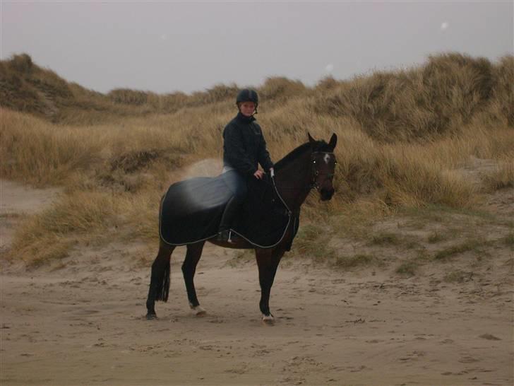 Anden særlig race Medoris - Medoris & Maja. Strandtur, 1. juledag.. billede 5