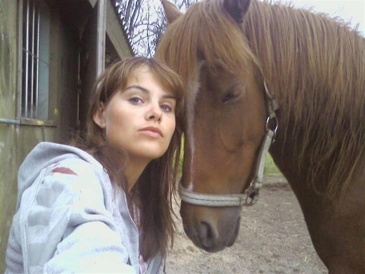 Anden særlig race Cosmo SOLGT billede 11