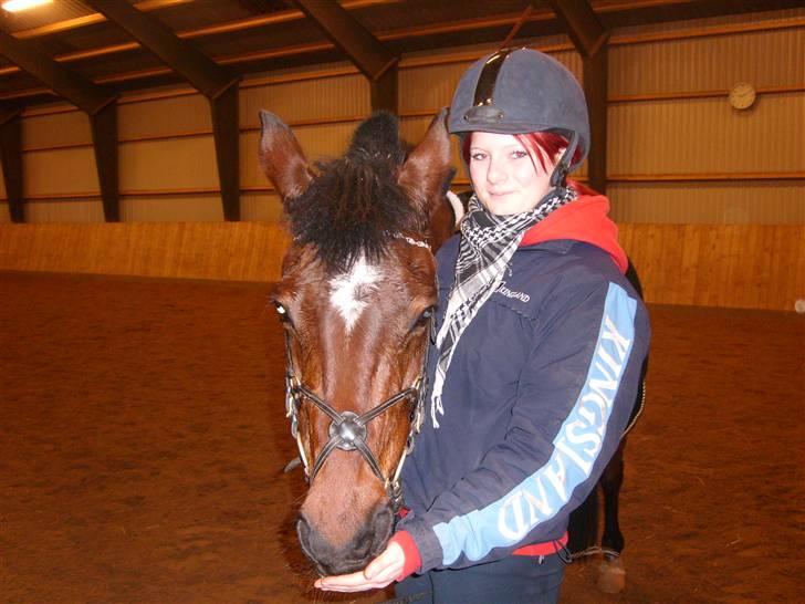 Anden særlig race Medoris - Medoris & Maja. Hyggepony for real! billede 6