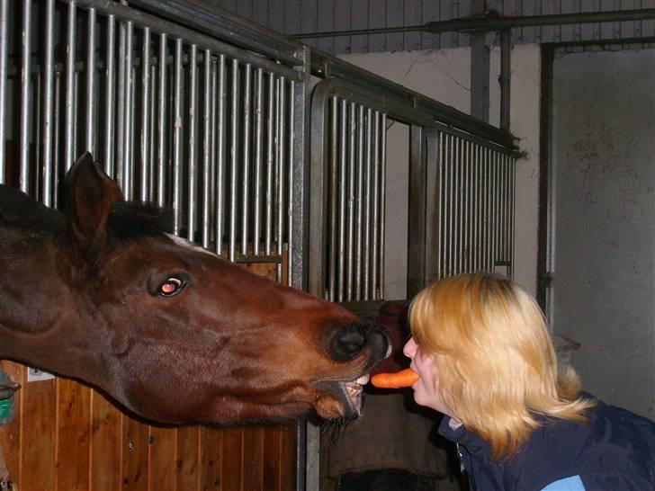 Anden særlig race Medoris - Medoris & Maja. Den pony finder sig jo i alt :D billede 7