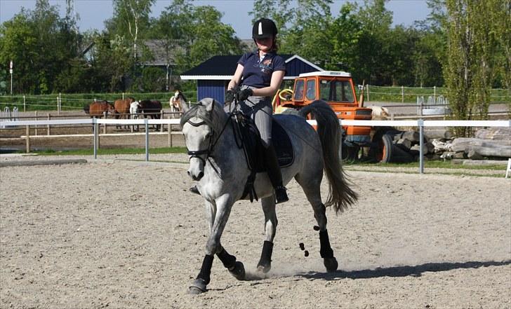 DSP Acia's Chanell billede 13