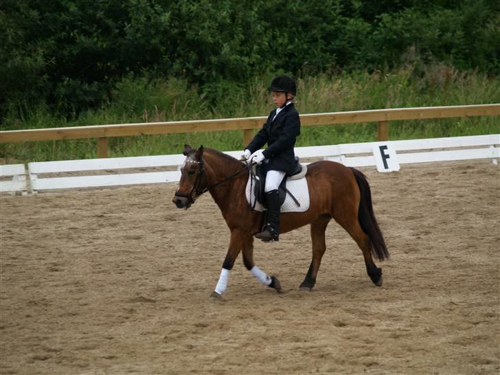 Anden særlig race Dipsi *på pansion* - Lc2 <3 billede 1