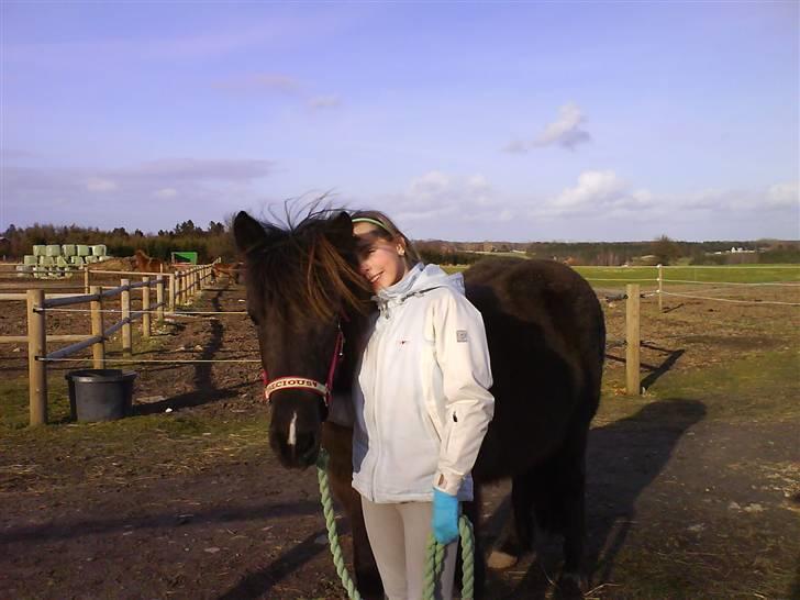 Islænder Dimma fra Asgård - mig og dimma <3 billede 5