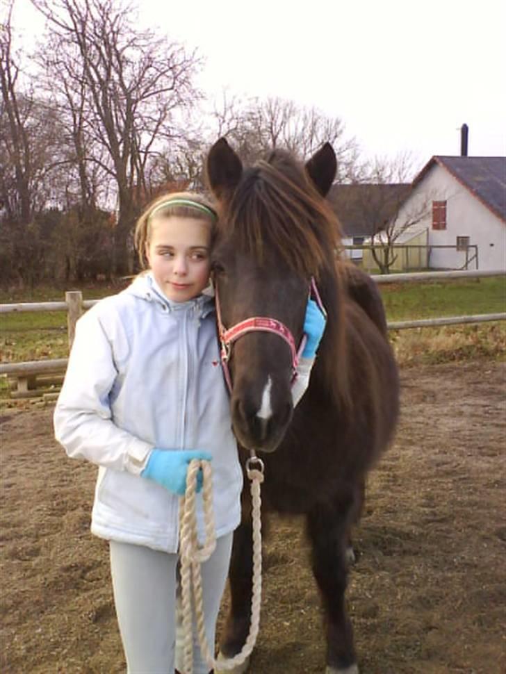 Islænder Dimma fra Asgård - Mig & Dimma <3 billede 7