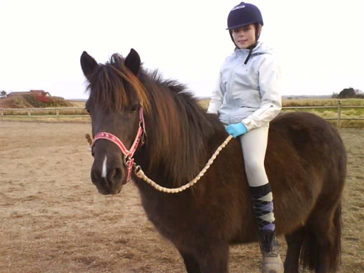 Islænder Dimma fra Asgård - På banen (: <3 billede 8