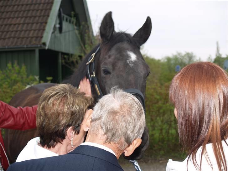 Fuldblod (XX) De Integro*solgt* - Til min konfirmation :) billede 11